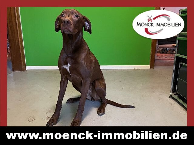 Ein Geschenk für Mensch und Tier nahe der niederländischen Grenze! Ein Geschenk für Mensch und Tier nahe der niederländischen Grenze!